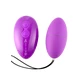 Cnex Egg Remote Control 10 Violet  - Vibračné vajíčko na diaľkové ovládanie fialové