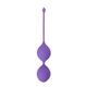 Dream Toys See You In Bloom Duo Balls 29Mm Purple  - Venušine guličky