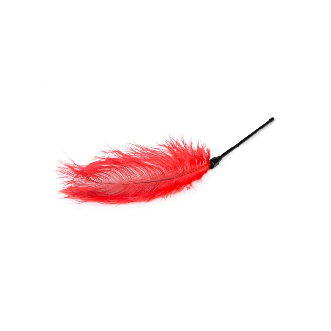 Easy Toys Red Feather Tickler - Piórko do łaskotania, czerwone