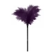 Guilty Pleasure Small Feather Tickler Purple  - Pierko na šteklenie fialové