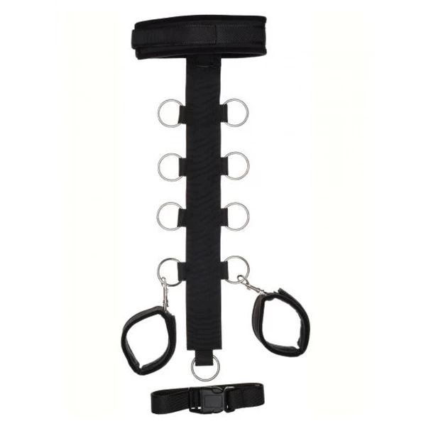 ARGUS T Shape Collar And Wirst Restrain - System do krępowania z obrożą