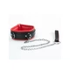 ARGUS Red Collar And Leash - Obojok s vodítkom