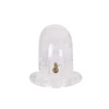 Malesation Chastity Cage Clear - Pas cnoty, Przezroczysty