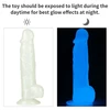 Lovetoy 8.5' Lumino Play Dildo - Dildo klasyczne na przyssawce świecące w ciemności