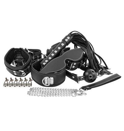 Erospace Wild Play C10 - Luxus súprava BDSM